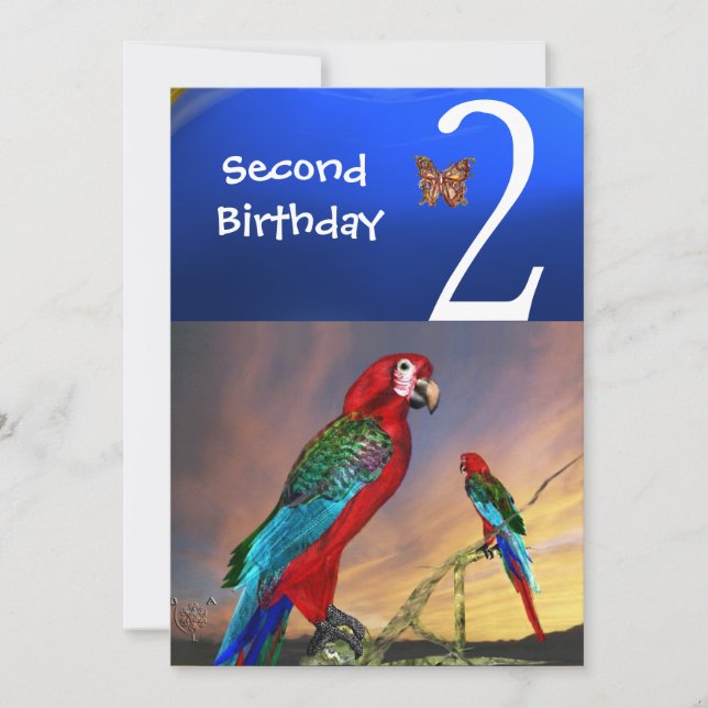 Invitación HYPER PARROTS / Segunda fiesta de cumpleaños (Anverso)
