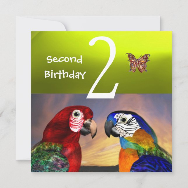Invitación HYPER PARROTS / Segunda fiesta de cumpleaños, amar (Anverso)