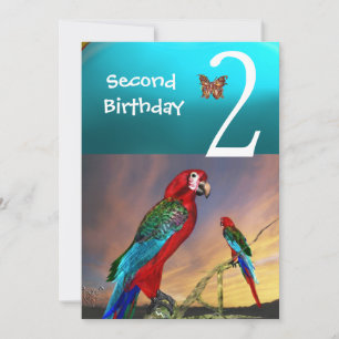 Invitación HYPER PARROTS / Segunda fiesta de cumpleaños Turqu