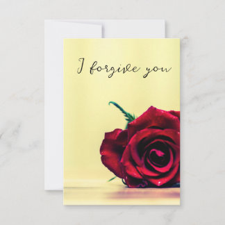 Invitación i forgive you sky horse