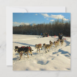 Invitación Iditarod Trail Sled Dog Race