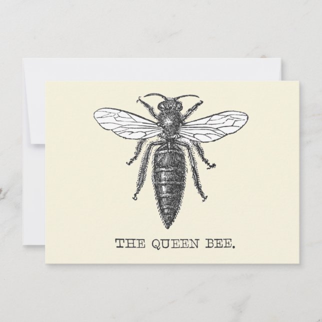 Invitación Ilustracion de antigüedades de insectos de Queen B (Anverso)