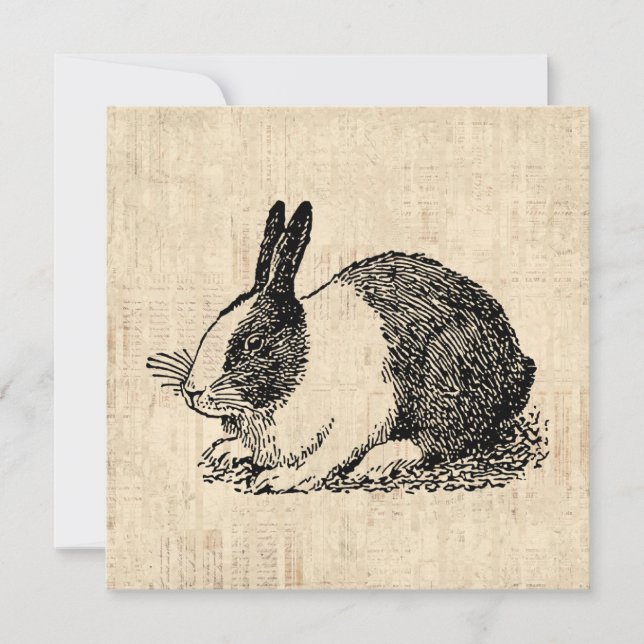 Invitación Ilustracion de arte animal doméstico de conejo (Anverso)