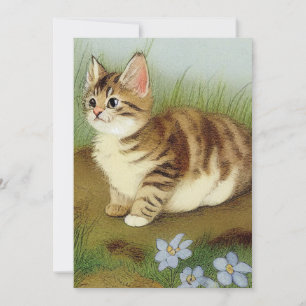 Invitación Ilustracion de gatito vintage con flores