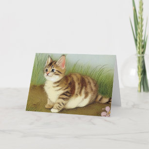 Invitación Ilustracion de gatito vintage con flores