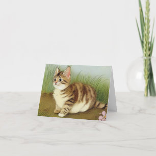 Invitación Ilustracion de gatito vintage con flores