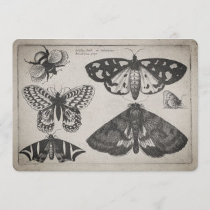 Invitación Ilustracion de la abeja de la mariposa de la