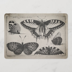 Invitación Ilustracion de la mariposa de Swallowtail del