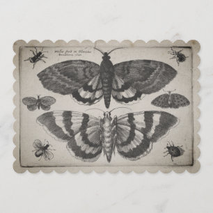 Invitación Ilustracion de los lepidópteros de la polilla del