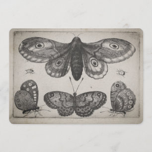 Invitación Ilustracion de los lepidópteros de la polilla del