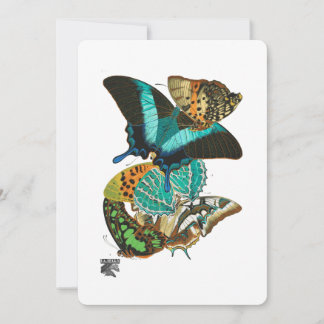 Invitación Ilustracion de mariposas E.A. Séguy Vintage