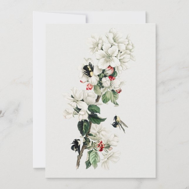 Invitación Ilustracion Vintage Apple Blossom (Anverso)