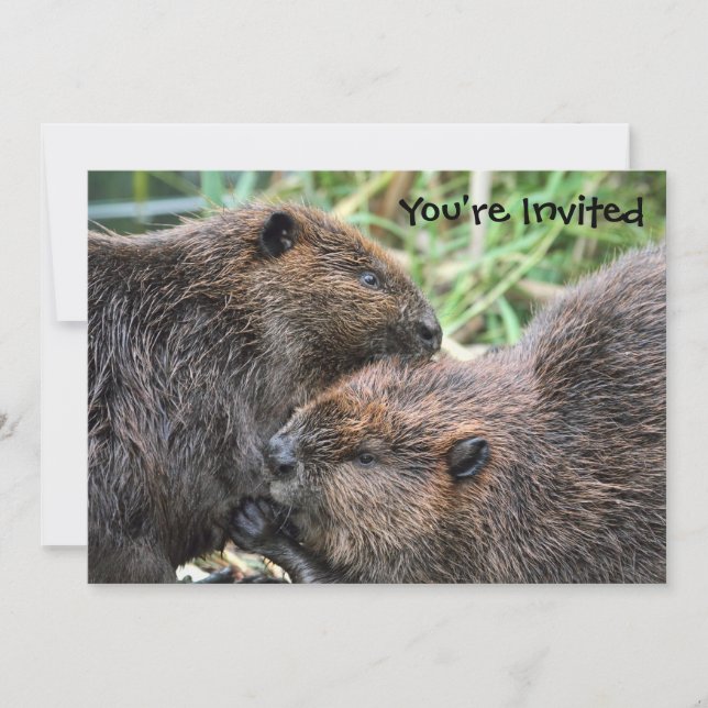 Invitación Imagen de Beavers Grooming (Anverso)