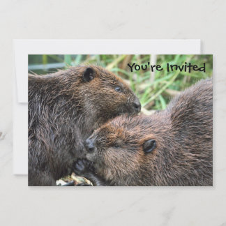 Invitación Imagen de Beavers Grooming