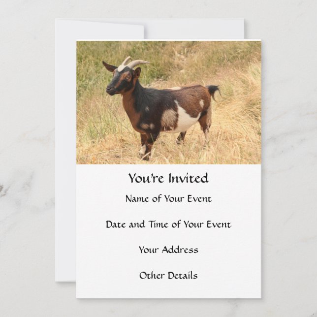Invitación Imagen de cabra (Anverso)