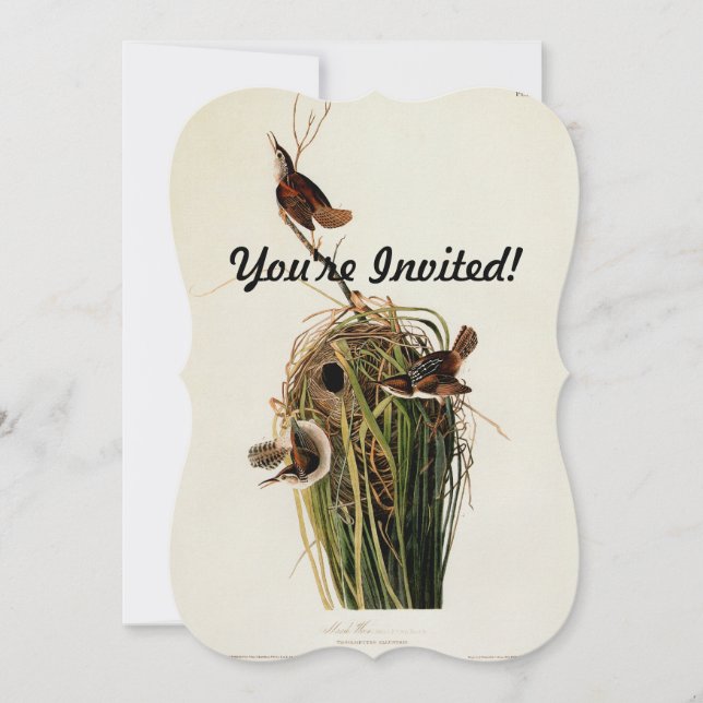 Invitación Impresión de ave de Carricero de Audubon (Anverso)