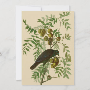 Invitación Impresión de pájaro Grackle púrpura de Audubon Vin
