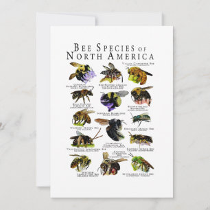 Invitación Impresión de Posters de especies de abejas de Nort