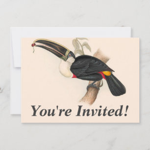 Invitación Impresión del tucán de Cuvier: ave tropical vintag