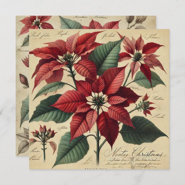 Invitación Imprimible Vintage Christmas Poinsettia Botánica (Anverso / Reverso)