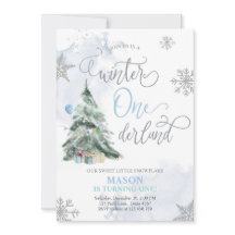 Invierno de Onederland Niño Azul Primer cumpleaños