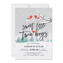 Invierno moderno Baby Shower Sweet Little Twin Boy