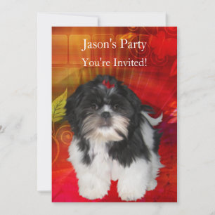 Invitación Invitar Cumpleaños Shih Tzu en Rojo Abstracto