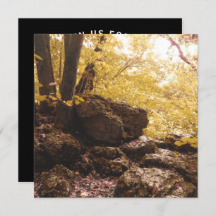 Invitación iowa del parque de estados de la columna vertebral