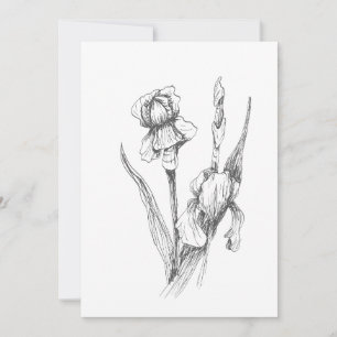 Invitación Iris dibujado a mano original, arte botánico