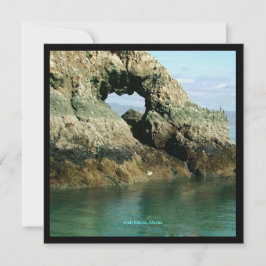 Invitación Isla del Gull, Alaska