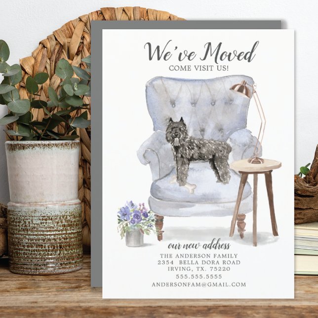 Invitación itinerante Bouvier des Flandres (Subido por el creador)