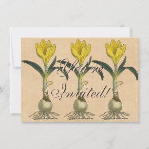 Invitación Jardín Botánico de Tulipanes Amaryllis Flor