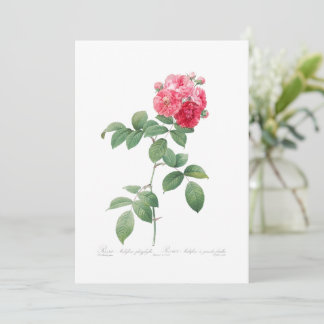 Invitación Jardín Feminista Rosa de la Vintage