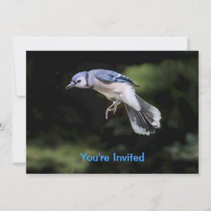 Invitación Jay azul volador