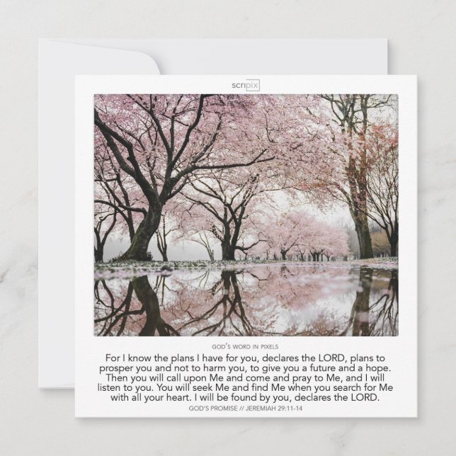 Invitación Jeremiah 29:11 - 14 GOD'S PROMISE SCRIPIX (Anverso)