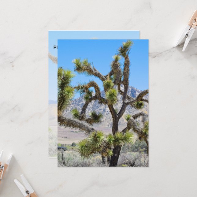 Invitación Joshua Tree en California (Anverso/Reverso In Situ)