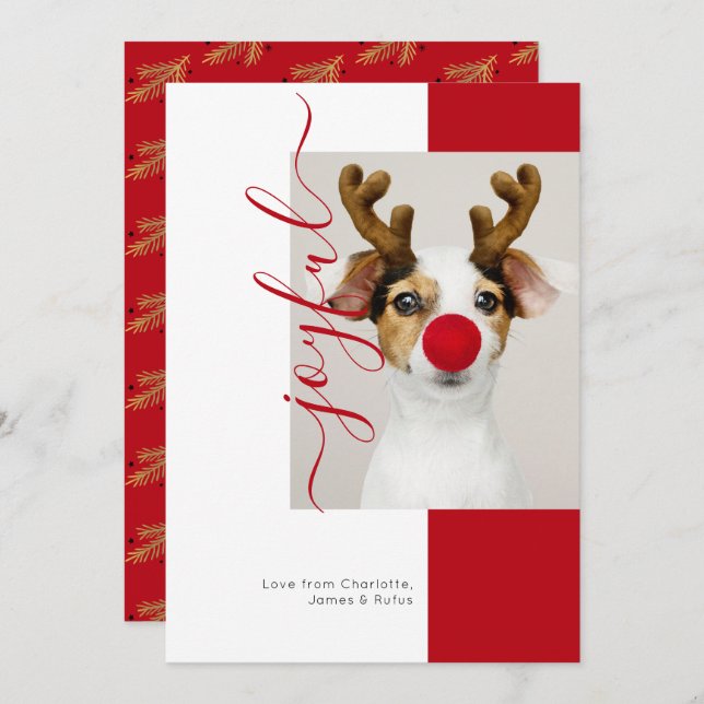 Invitación Joyful Modern Holiday Photo Card (Anverso / Reverso)