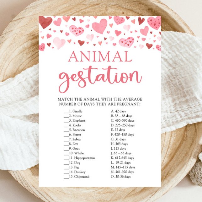 Invitación Juego de gestación de animales Hearts Valentine Ba (Watercolor Cute Pink Red Hearts Valentine A Little Sweetheart Girl Animal Gestation Baby Shower Game)