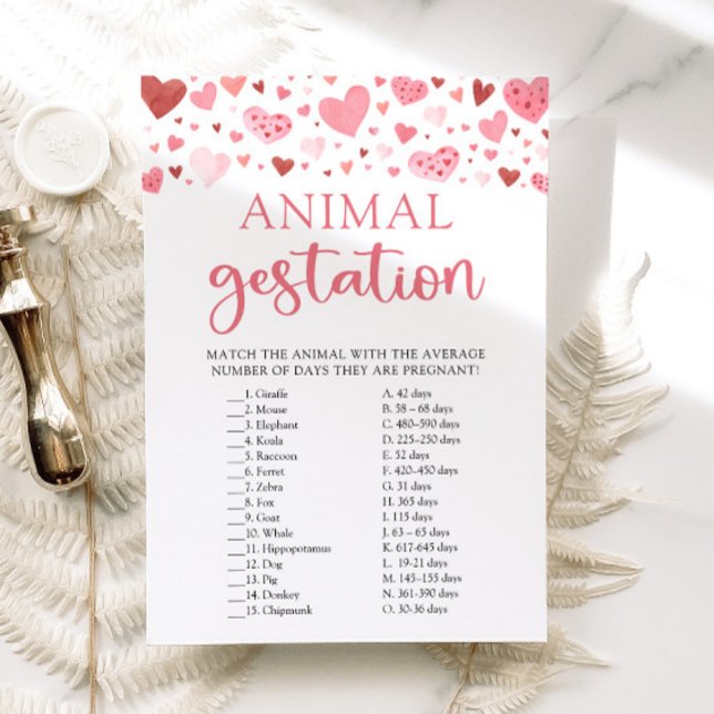 Invitación Juego de gestación de animales Hearts Valentine Ba (Watercolor Cute Pink Red Hearts Valentine A Little Sweetheart Girl Animal Gestation Baby Shower Game)