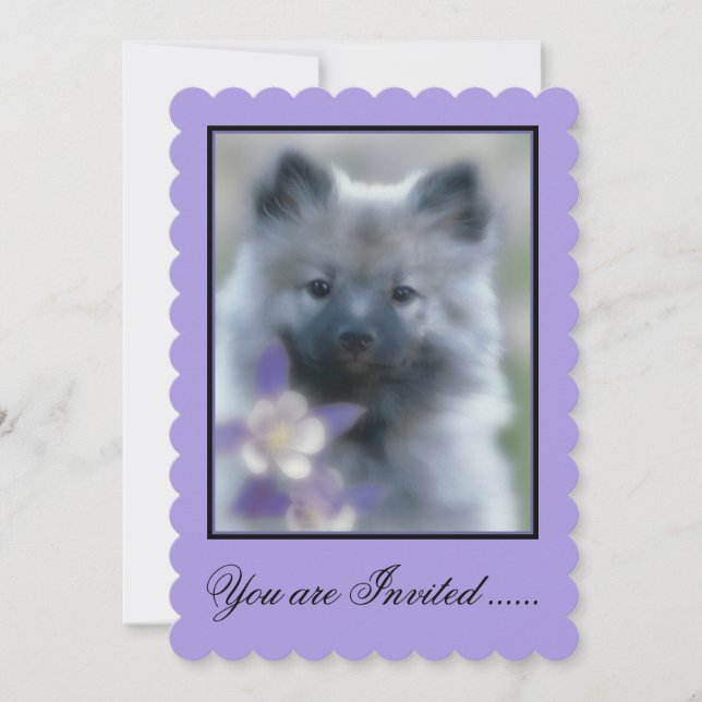 Invitación Keeshond y Columbine - Fotografía de perro (Anverso)