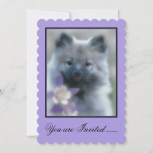 Invitación Keeshond y Columbine - Fotografía de perro