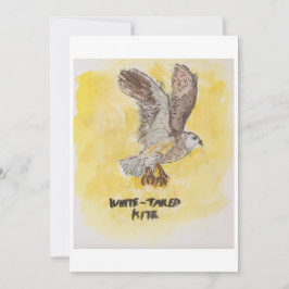 Invitación Kite Hawk Greeting Card