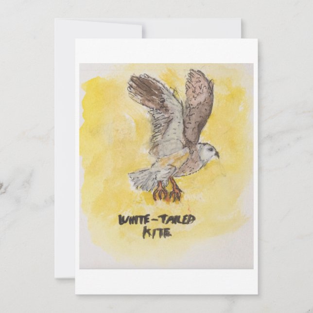 Invitación Kite Hawk Greeting Card (Anverso)