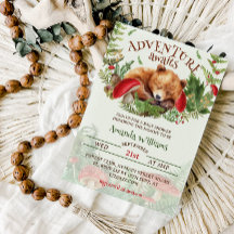 La aventura espera Baby Shower de Oso