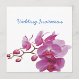 Invitación La boda barata de las orquídeas empaqueta equipos