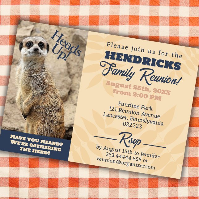 Invitación La curiosa reunión de la familia Meerkat salva la  (Funny Family Reunion Invitation with Meerkat)