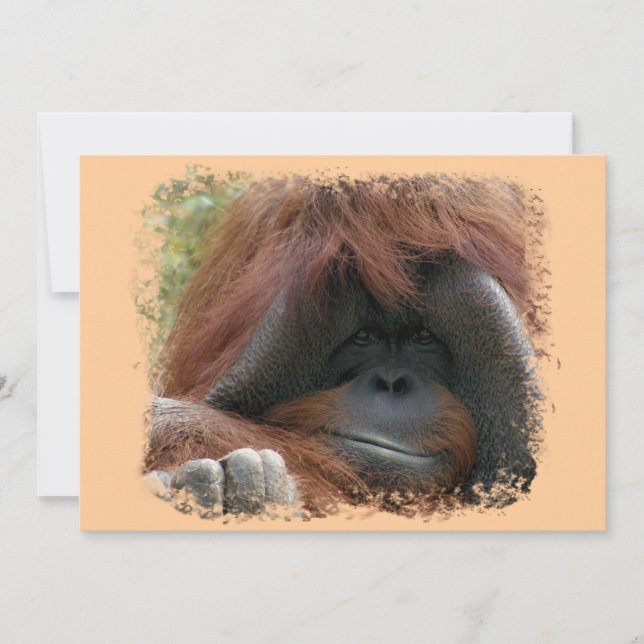 Invitación La fiesta de cumpleaños salvaje del orangután (Anverso)