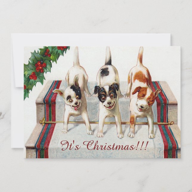 Invitación La fiesta de Navidad de un perro lindo (Anverso)