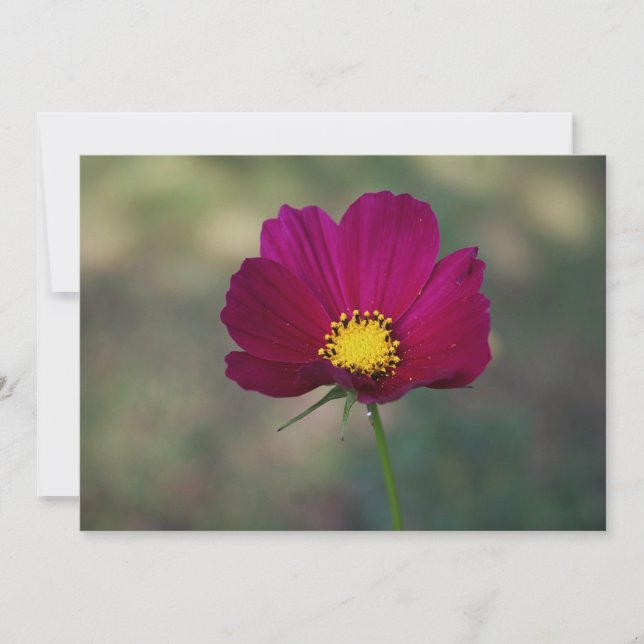 Invitación La flor perfecta de la hermana (Anverso)