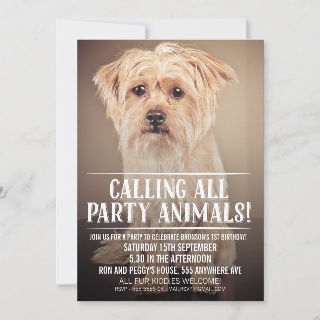 INVITACIÓN LA FOTO DEL FIESTA DEL PERRO DE PERRITO DEL (Anverso)